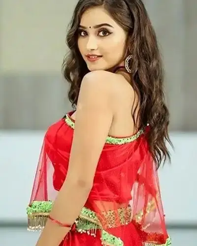 Call Girls Service Musheerabad